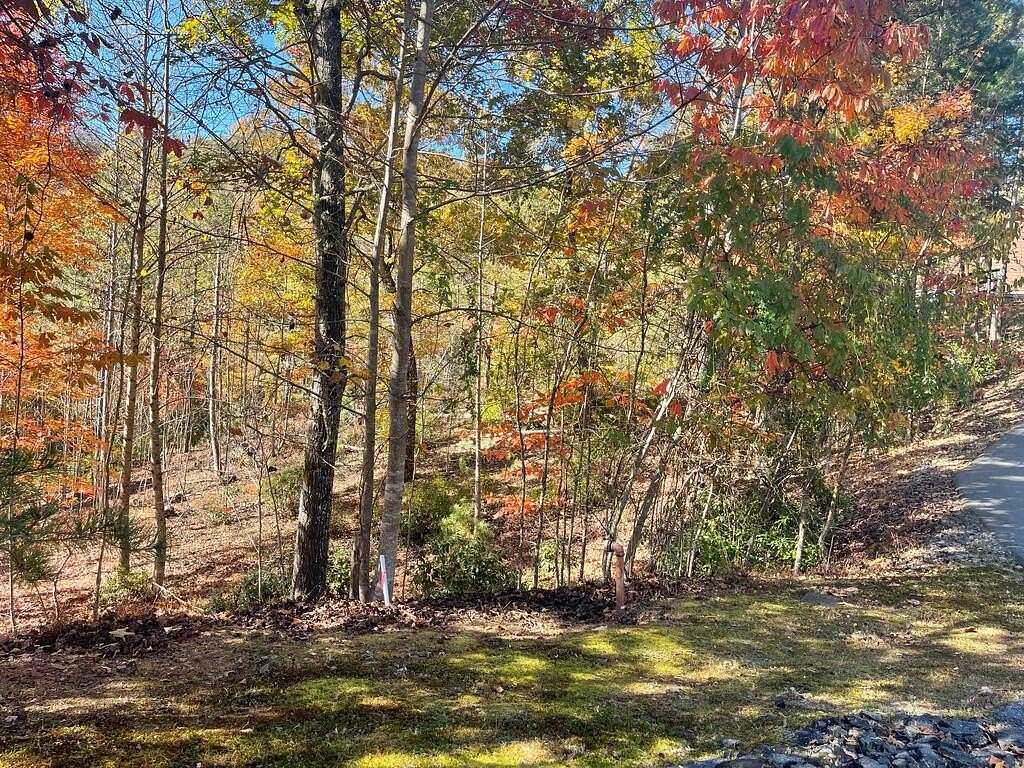 1 Acre of Land for Sale in Blairsville, Georgia