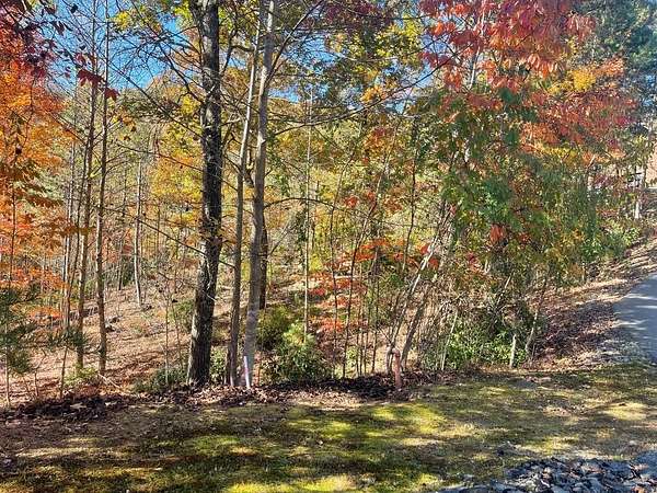 1 Acre of Land for Sale in Blairsville, Georgia