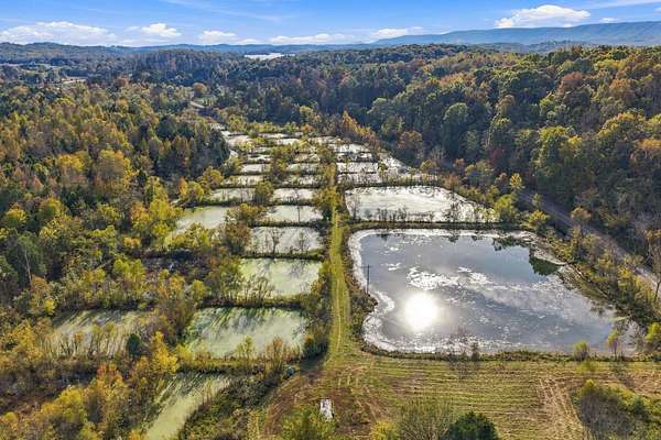 28.2 Acres of Recreational Land for Sale in Spring City, Tennessee