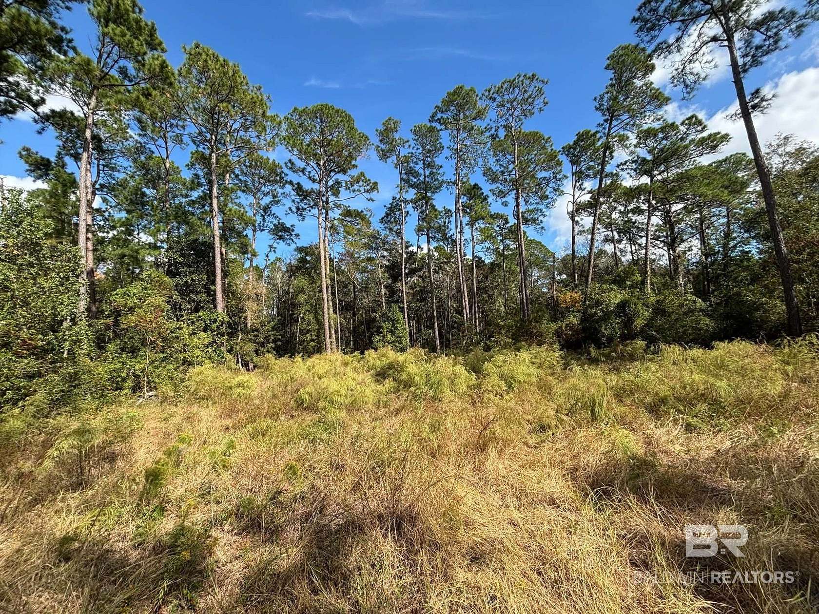 0.32 Acres of Residential Land for Sale in Foley, Alabama