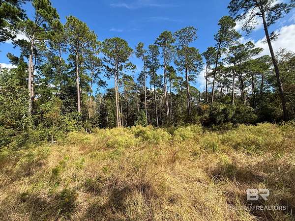 0.32 Acres of Residential Land for Sale in Foley, Alabama