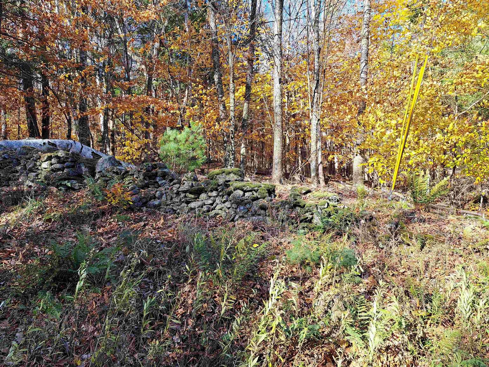 12.6 Acres of Land for Sale in Cornish Town, New Hampshire