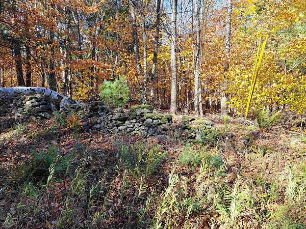 12.6 Acres of Land for Sale in Cornish Town, New Hampshire
