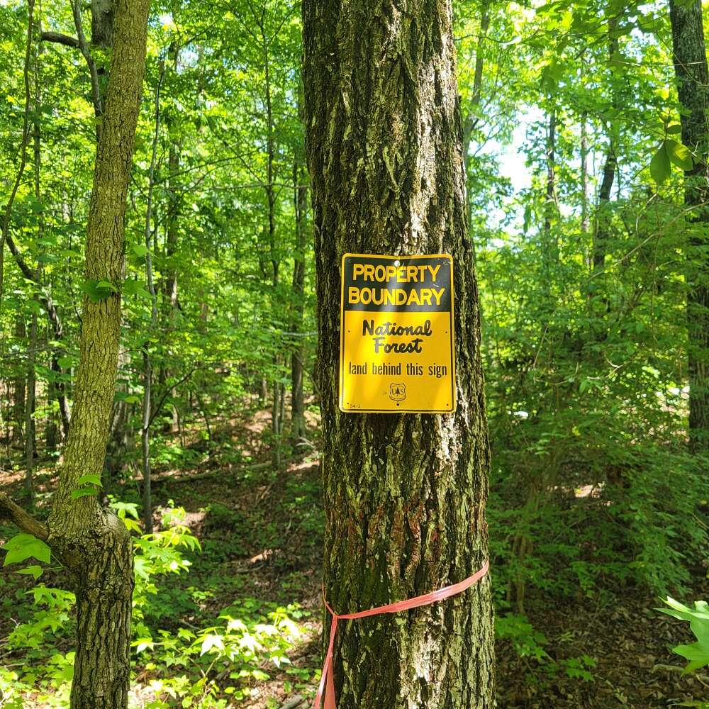 163 Acres of Recreational Land for Sale in Sycamore, Alabama