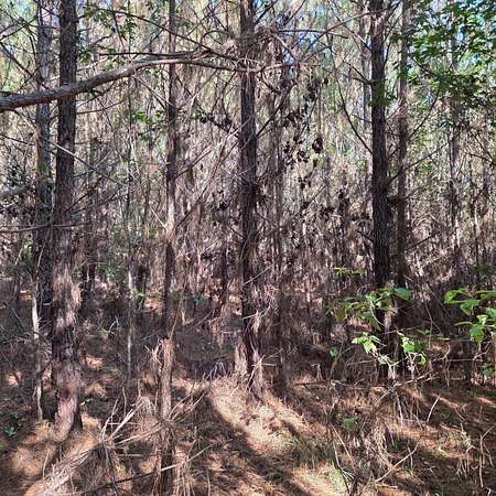 16 Acres of Recreational & Residential Land for Sale in Lapine, Alabama
