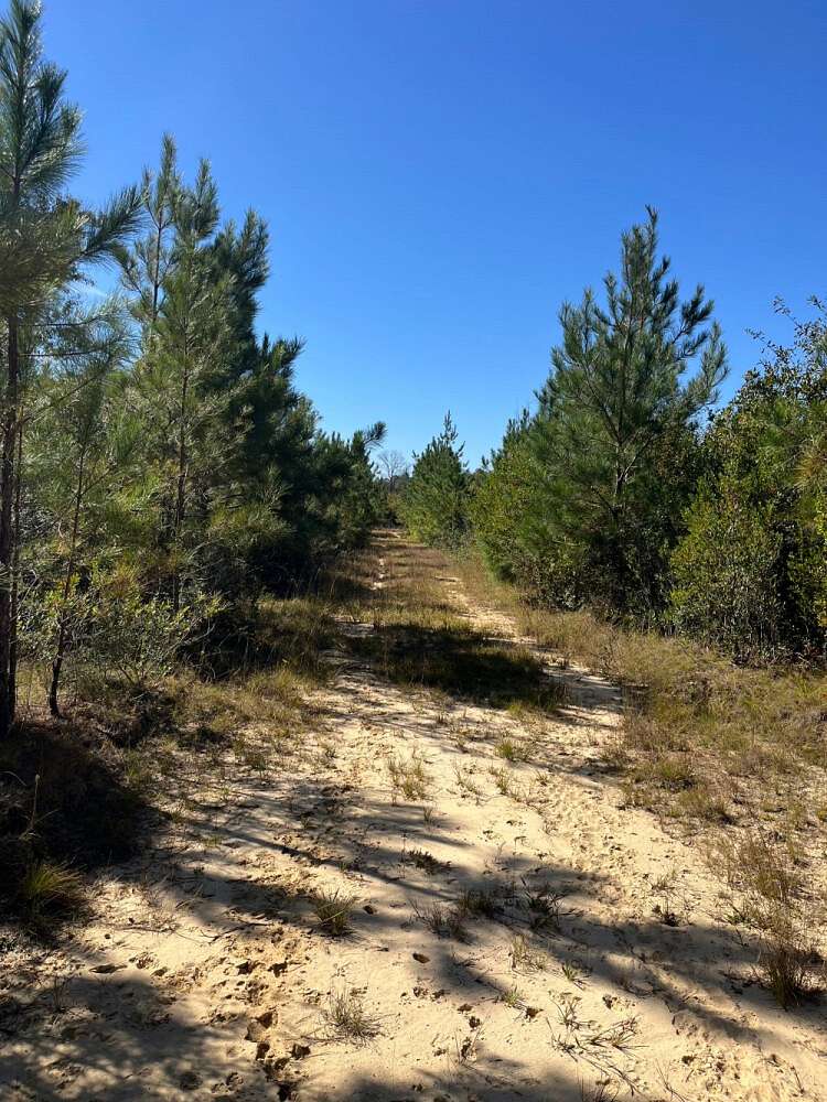 199 Acres of Recreational & Residential Land for Sale in Citronelle, Alabama