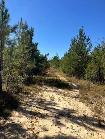 199 Acres of Recreational & Residential Land for Sale in Citronelle, Alabama