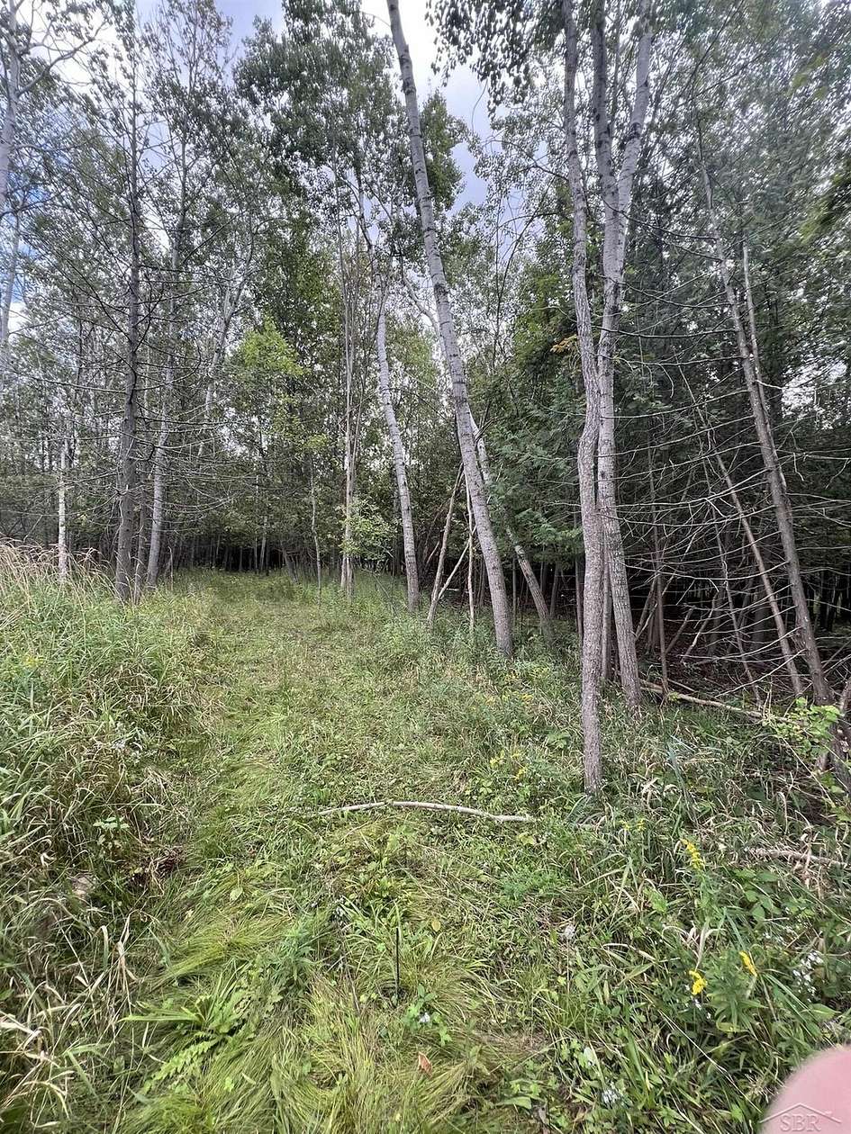 0.2 Acres of Residential Land for Sale in Boyne City, Michigan
