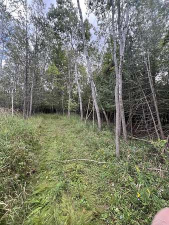 0.2 Acres of Residential Land for Sale in Boyne City, Michigan