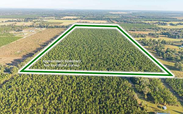 80 Acres of Land for Sale in Dowling Park, Florida