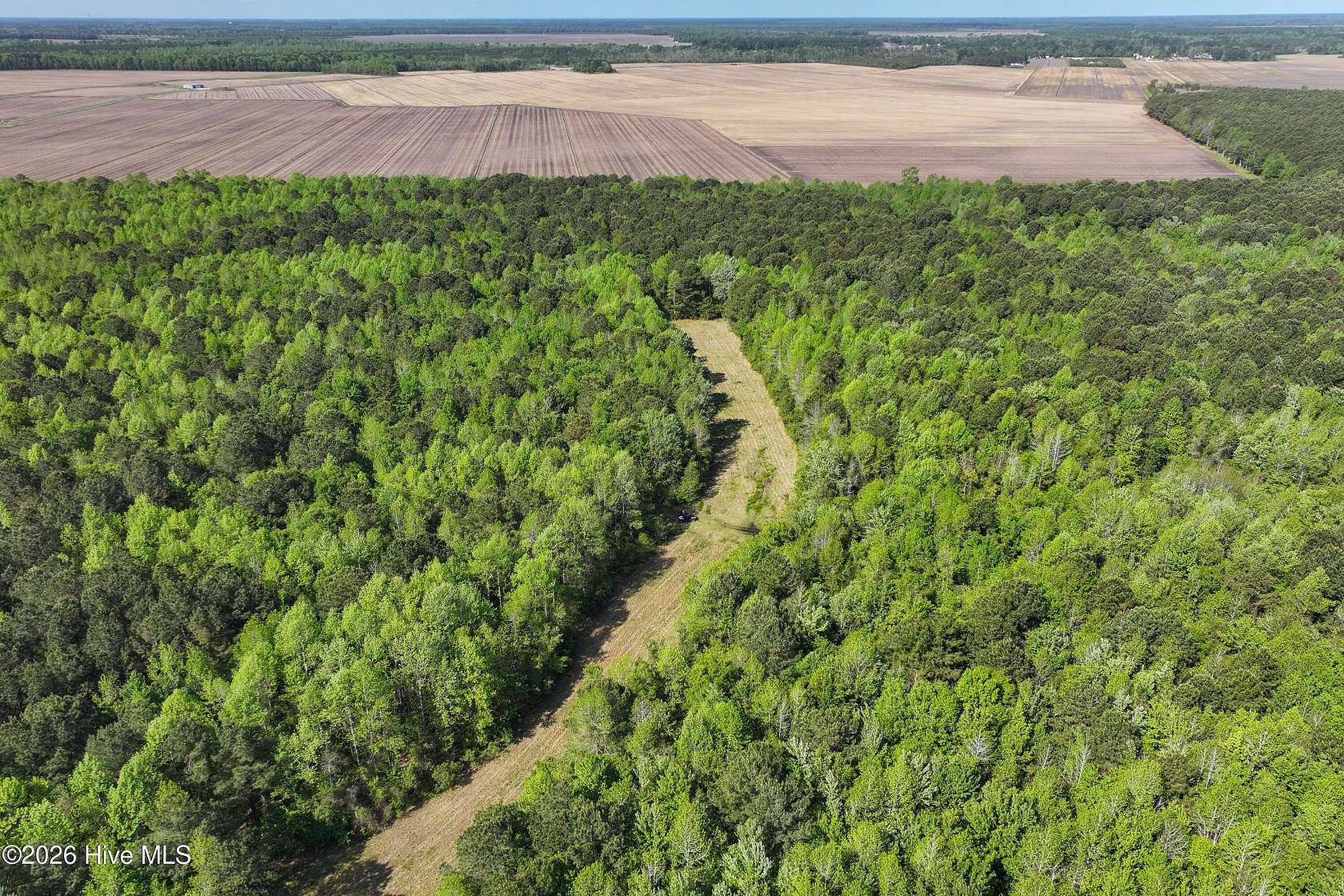 425 Acres of Recreational & Residential Land for Sale in Merritt, North Carolina