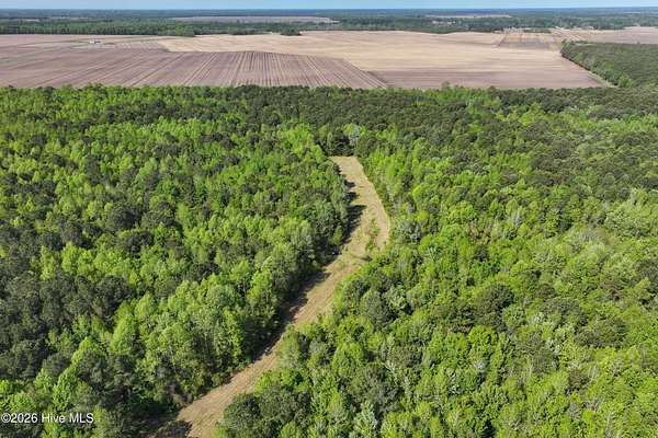 425 Acres of Recreational & Residential Land for Sale in Merritt, North Carolina