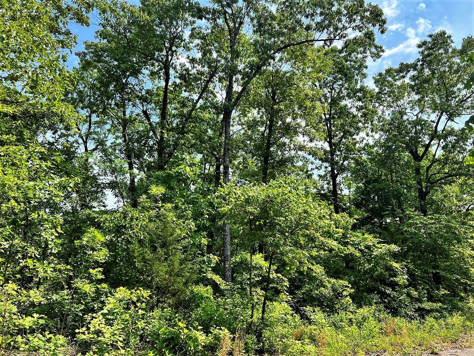 0.28 Acres of Residential Land for Sale in Horseshoe Bend, Arkansas
