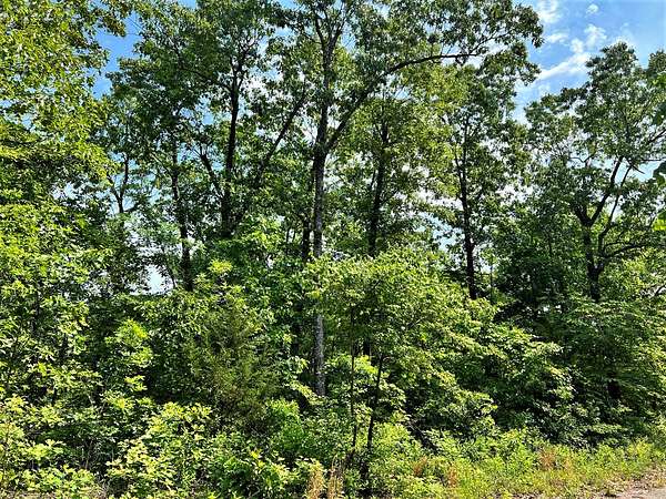 0.28 Acres of Residential Land for Sale in Horseshoe Bend, Arkansas