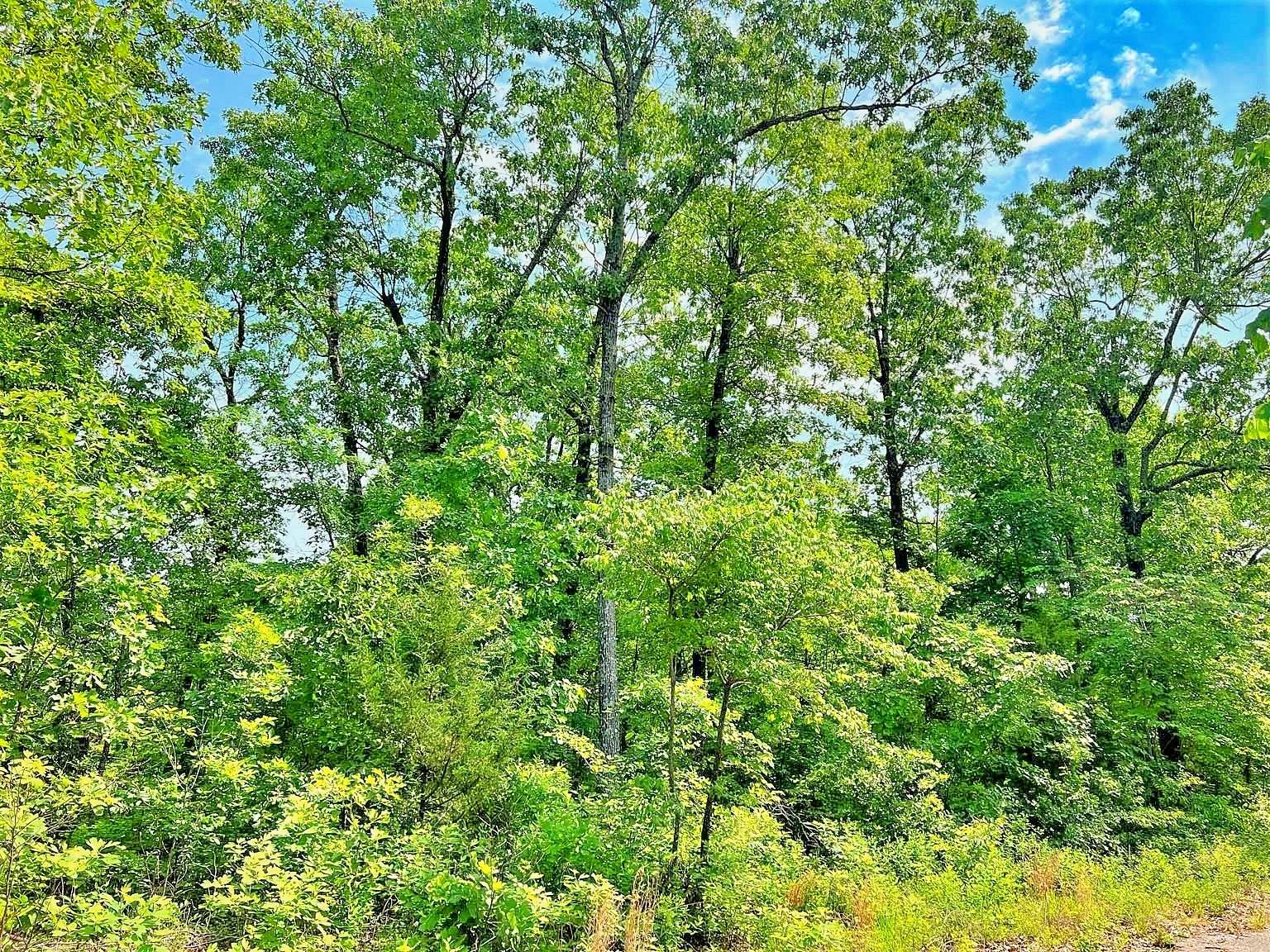 0.61 Acres of Residential Land for Sale in Horseshoe Bend, Arkansas