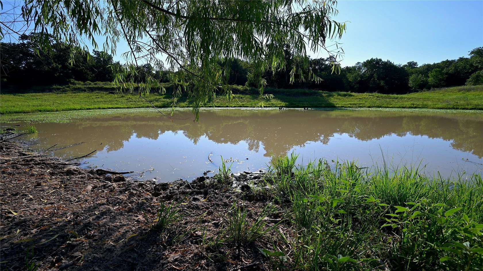 48.7 Acres of Land with Home for Sale in Nocona, Texas