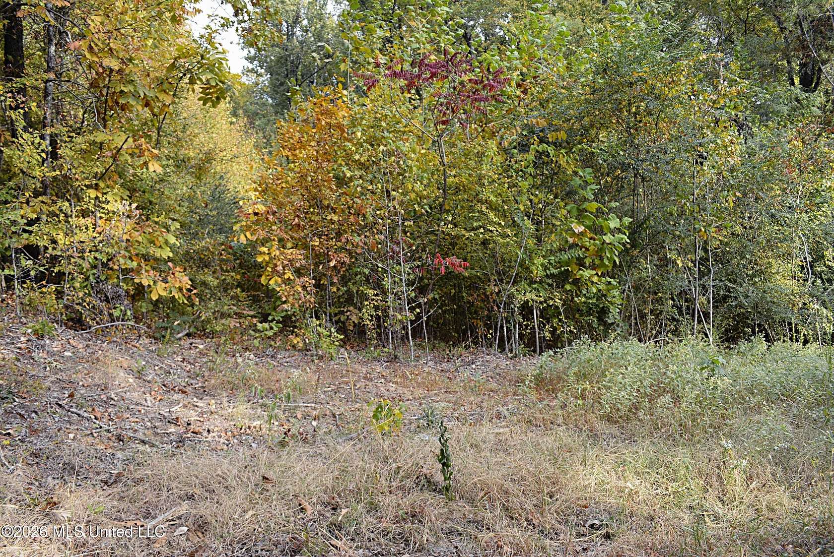 1.37 Acres of Residential Land for Sale in Hernando, Mississippi