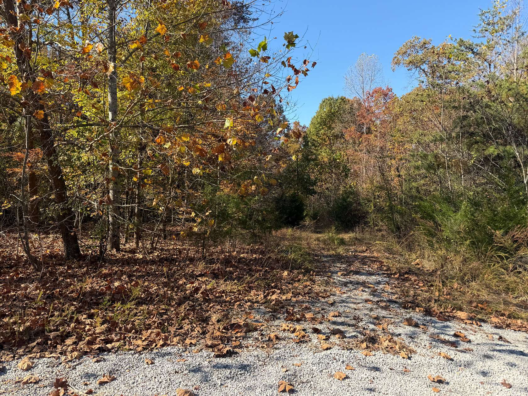 1.6 Acres of Residential Land for Sale in Albany, Kentucky