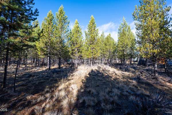 1 Acre of Residential Land for Sale in La Pine, Oregon