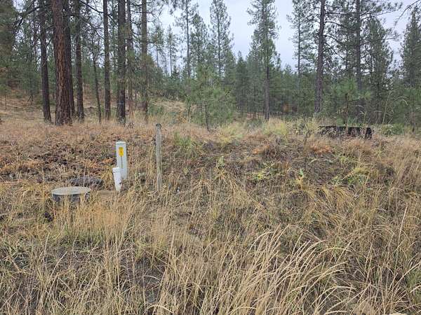 0.85 Acres of Residential Land for Sale in Kettle Falls, Washington