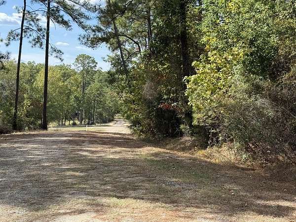 0.5 Acres of Residential Land for Sale in Brookeland, Texas