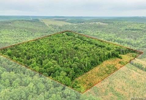 29 Acres of Recreational Land for Sale in Moundville, Alabama