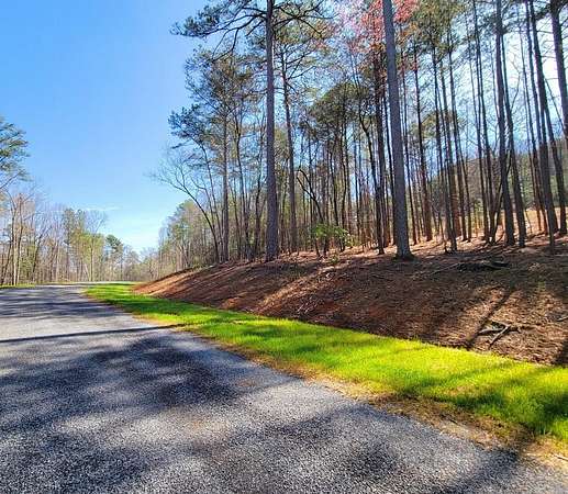 1.5 Acres of Residential Land for Sale in Ellijay, Georgia