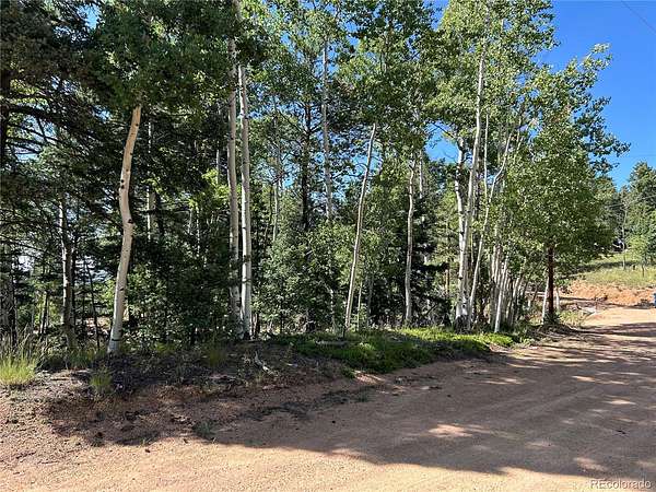 0.46 Acres of Residential Land for Sale in Florissant, Colorado
