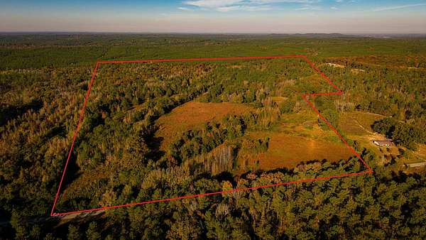 80 Acres of Recreational & Residential Land for Sale in Mantee, Mississippi