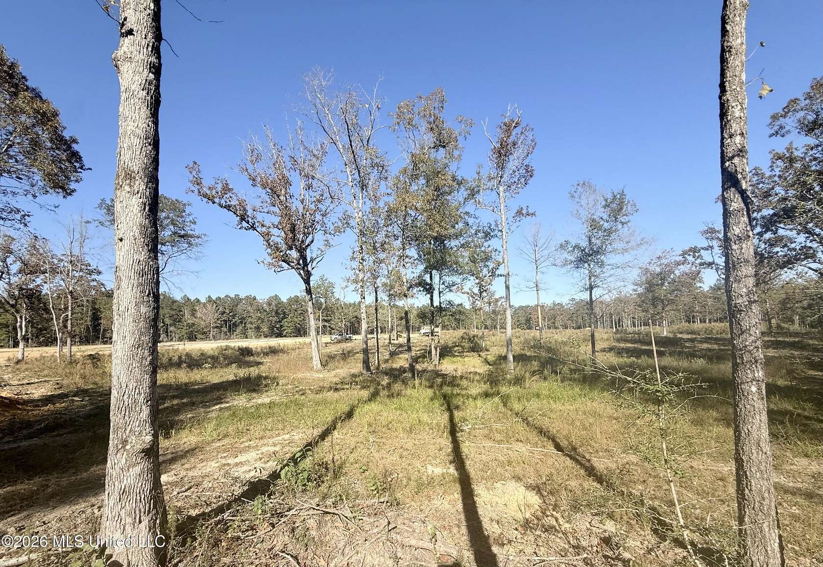 2 Acres of Residential Land for Sale in Bogue Chitto, Mississippi
