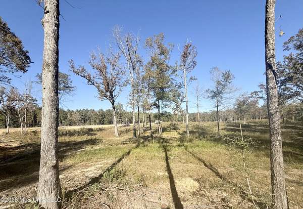 2 Acres of Residential Land for Sale in Bogue Chitto, Mississippi