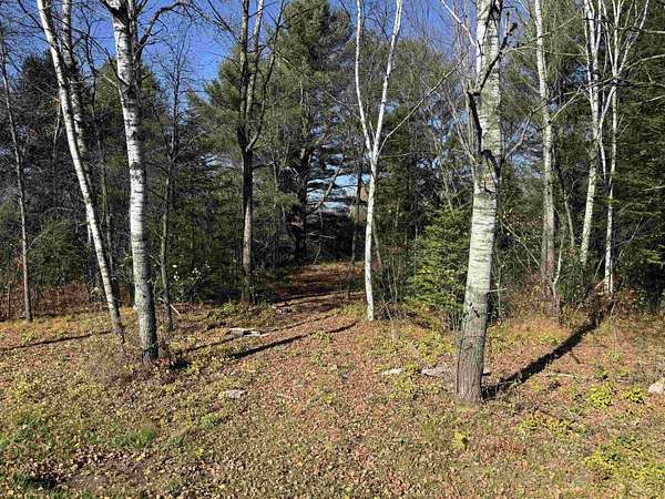 0.46 Acres of Residential Land for Sale in Weston, Wisconsin