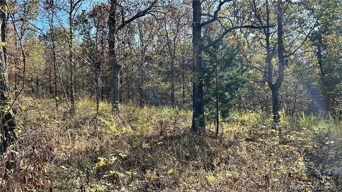 2.8 Acres of Residential Land for Sale in Lincoln, Missouri