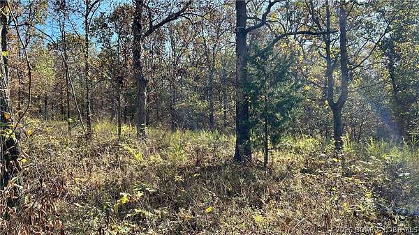 2.8 Acres of Residential Land for Sale in Lincoln, Missouri