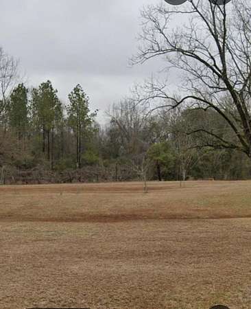 15 Acres of Recreational Land for Sale in Ariton, Alabama