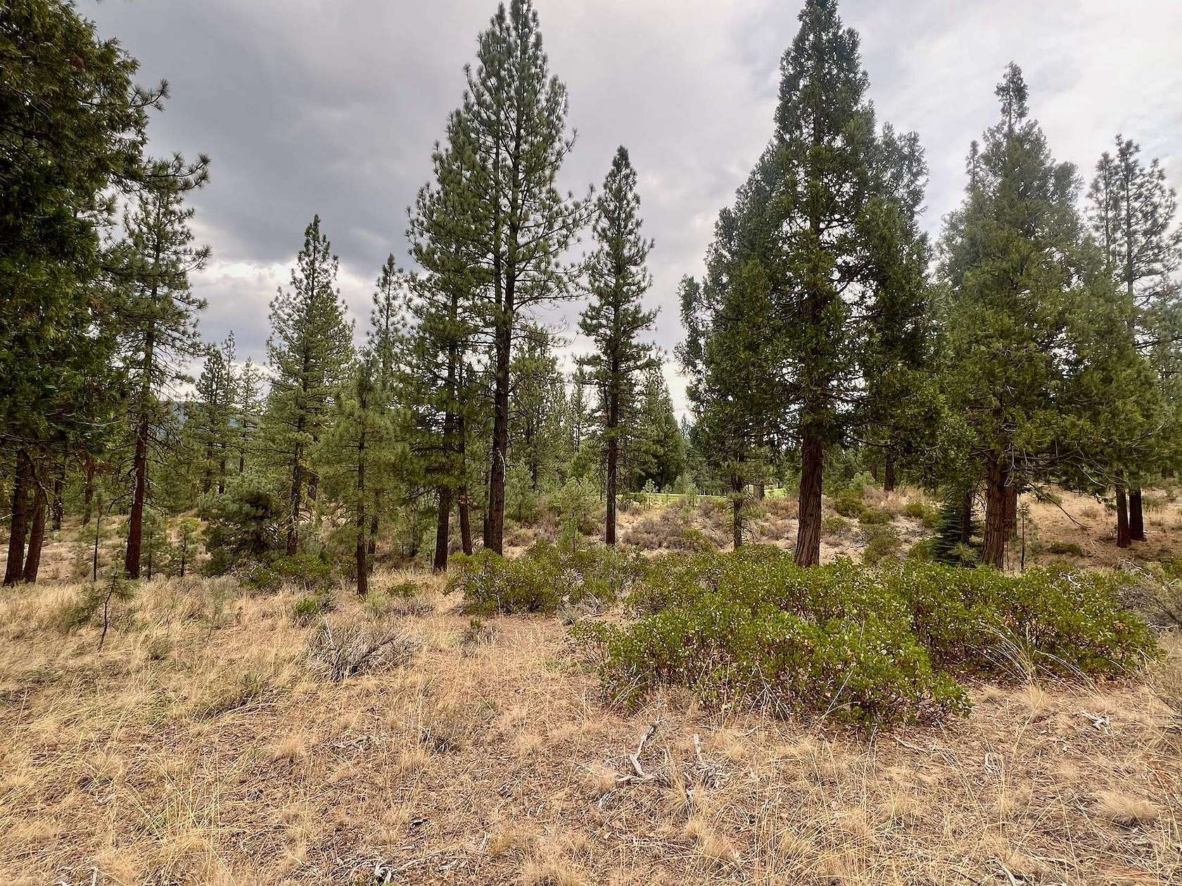 1 Acre of Residential Land for Sale in Portola, California