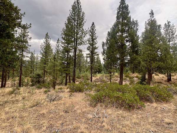 1 Acre of Residential Land for Sale in Portola, California