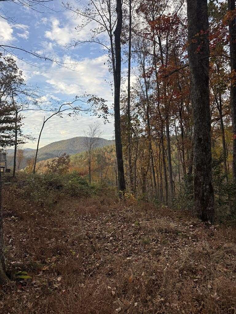 1.1 Acres of Land for Sale in Suches, Georgia