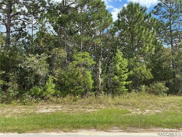 0.46 Acres of Residential Land for Sale in Homosassa, Florida