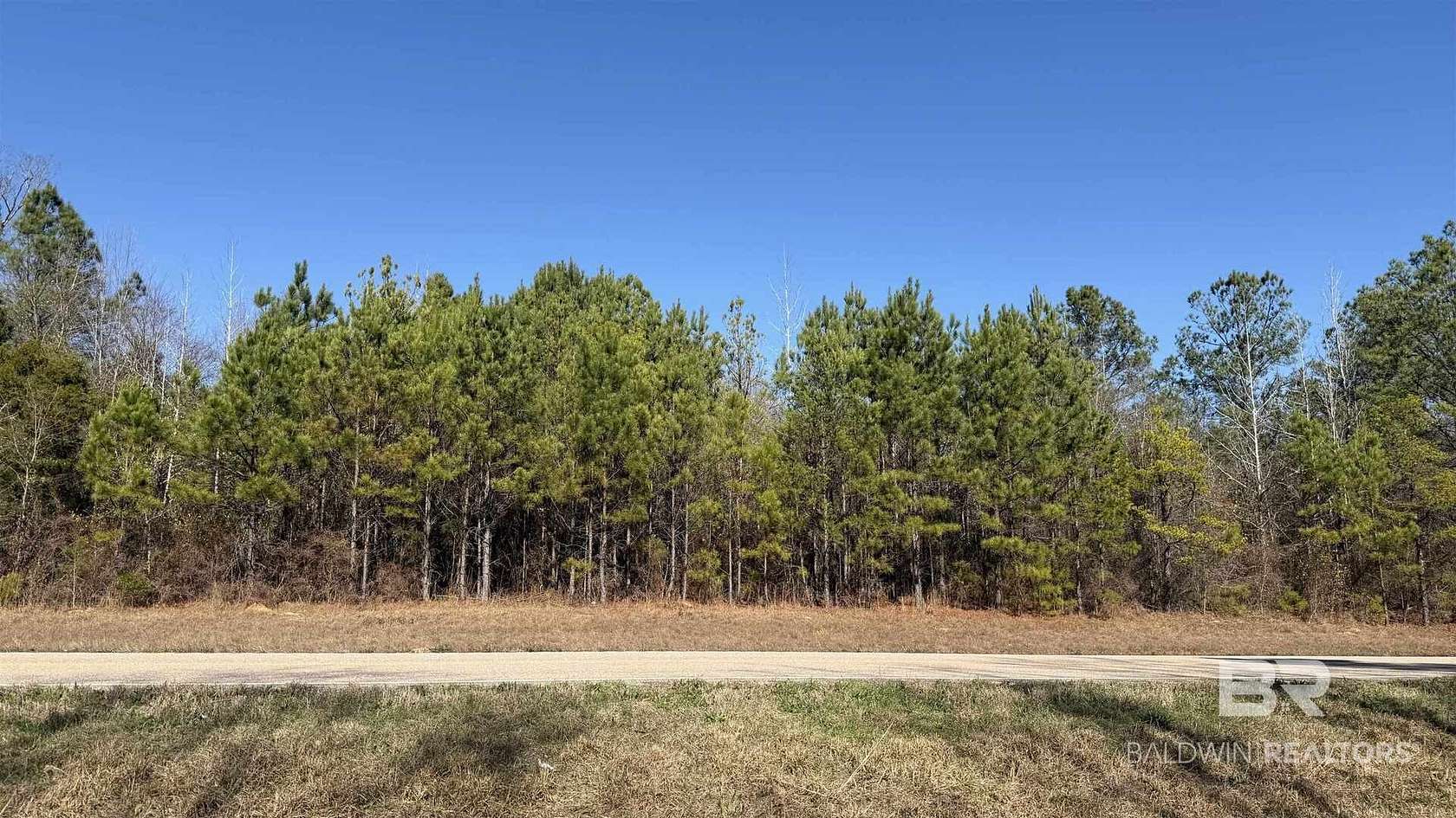 10.6 Acres of Recreational & Residential Land for Sale in Beatrice, Alabama