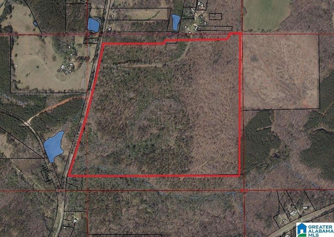 131 Acres of Recreational Land for Sale in Goodwater, Alabama