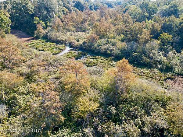 41.2 Acres of Land for Sale in Shaw, Mississippi