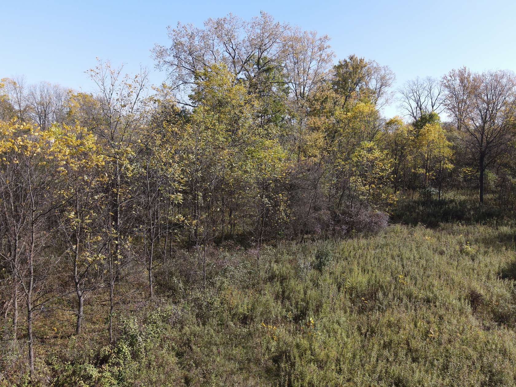 13.3 Acres of Land for Sale in Clio, Michigan