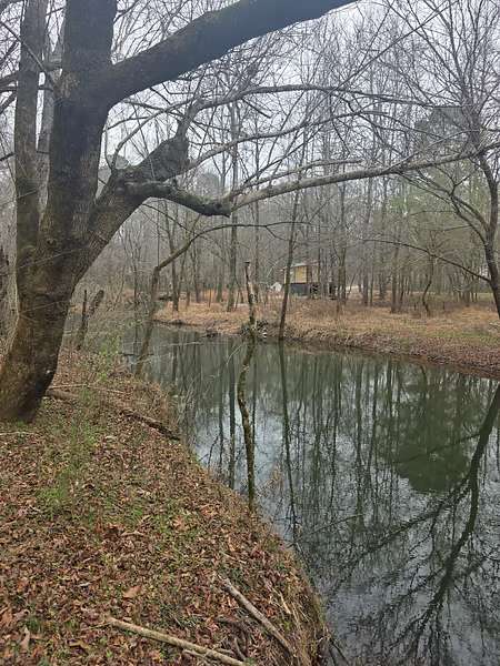 20 Acres of Land for Sale in Oneonta, Alabama