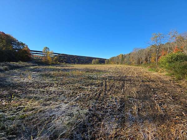 65.3 Acres of Land for Sale in Port Crane, New York