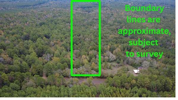 5 Acres of Residential Land for Sale in Harleton, Texas