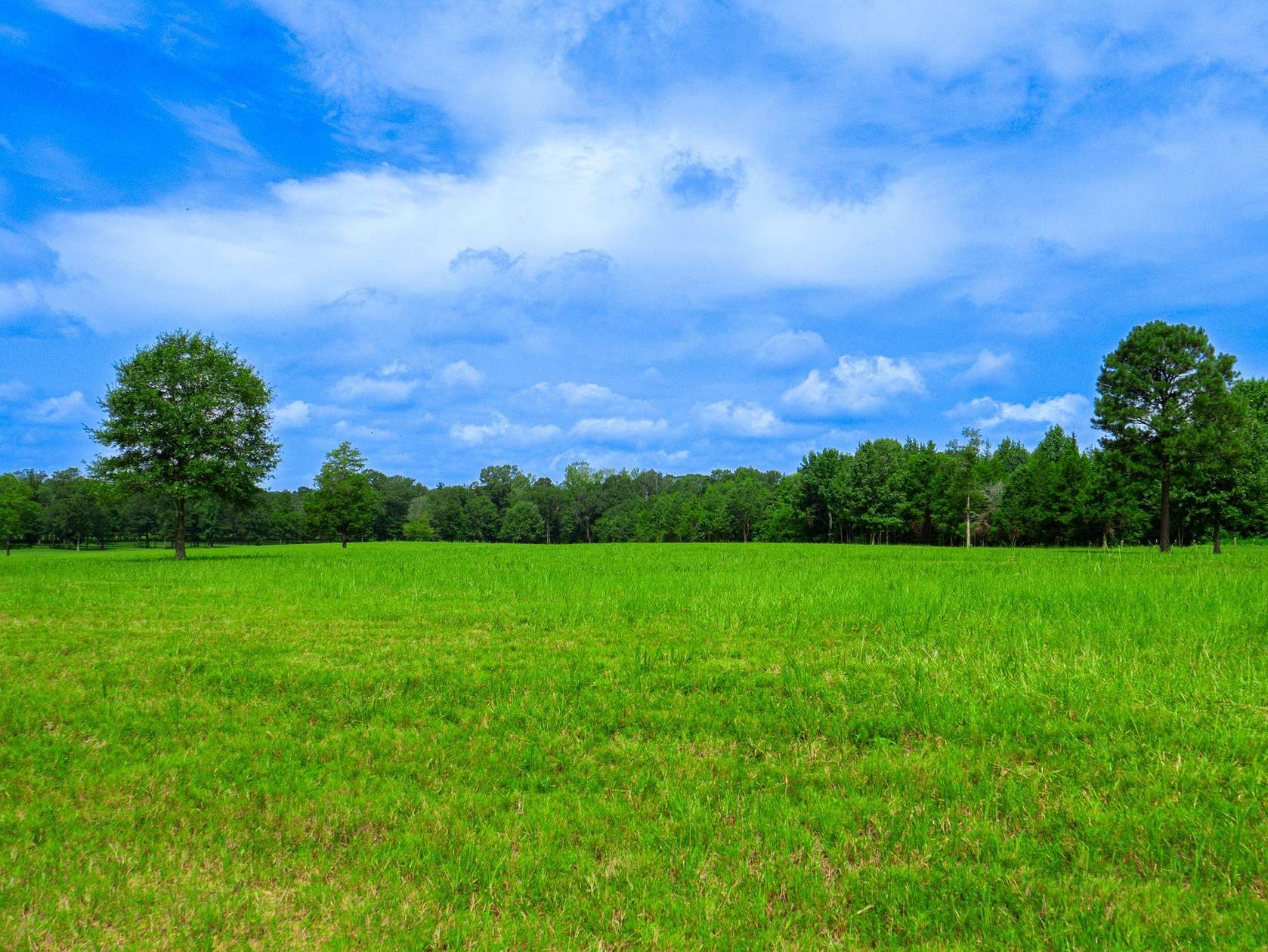 8 Acres of Land for Sale in Homer, Louisiana