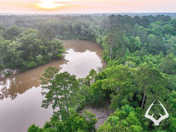 5 Acres of Land for Sale in Colmesneil, Texas