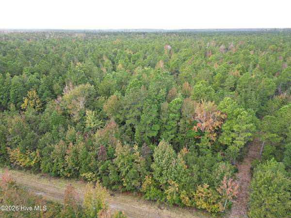 55 Acres of Recreational Land for Sale in Merritt, North Carolina
