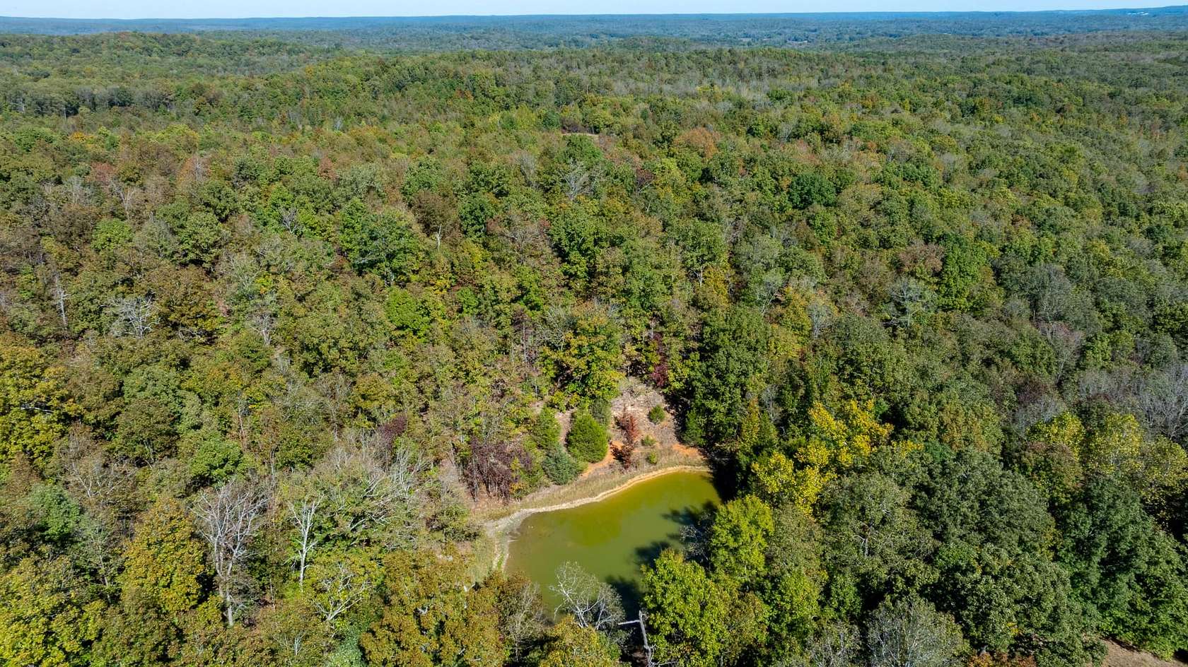 72.2 Acres of Recreational & Residential Land for Sale in Smithville, Arkansas